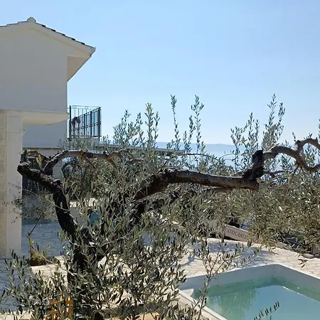 Villa Olive Stone House Makarska Exterior foto