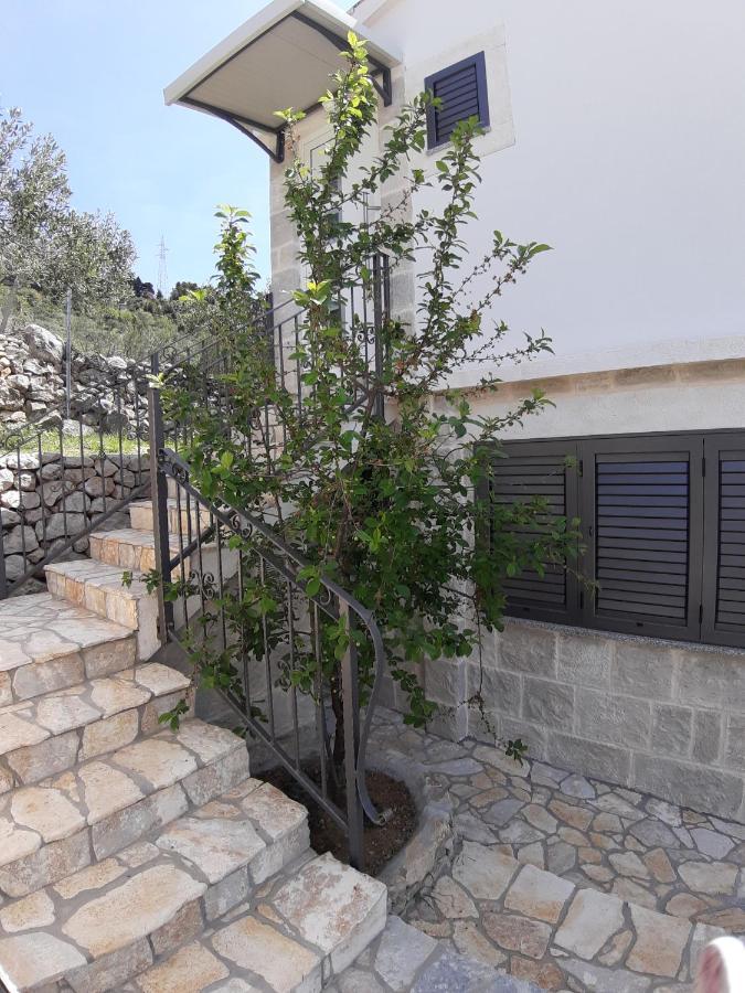 Villa Olive Stone House Makarska
