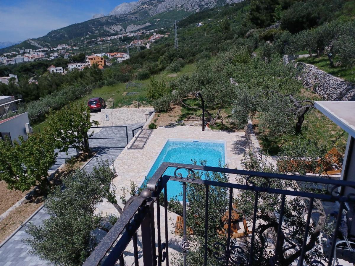 Villa Olive Stone House